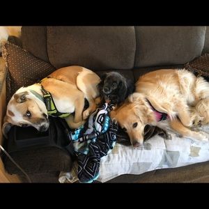 Meet your Posher, Lillian